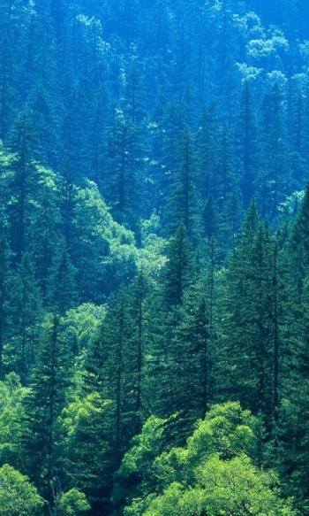 神秘唯美高清山水风景手机壁纸图片下载第5张