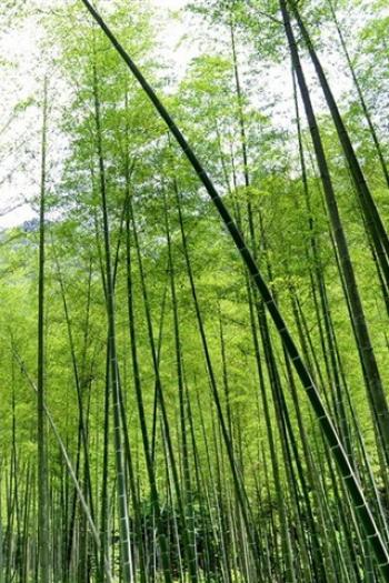 图片 _ 第(2)张