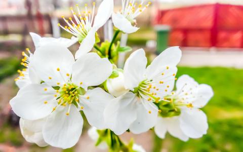 图片 _ 第(7)张