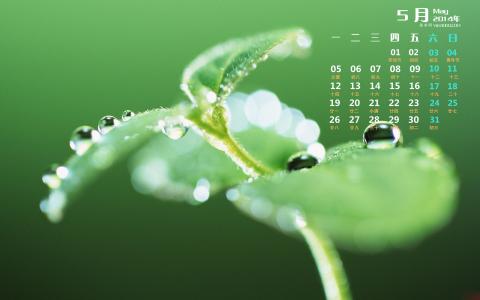 水滴第6张