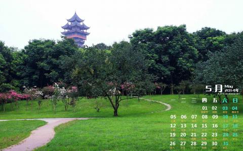高清唯美清新绿色草地图片手机壁纸第3张