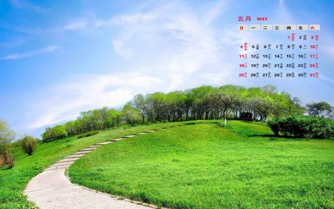 高清唯美清新绿色草地图片手机壁纸第4张