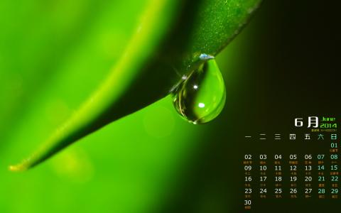 高清雨水水珠2022年6月份日历桌面壁纸护眼绿色水滴第0张