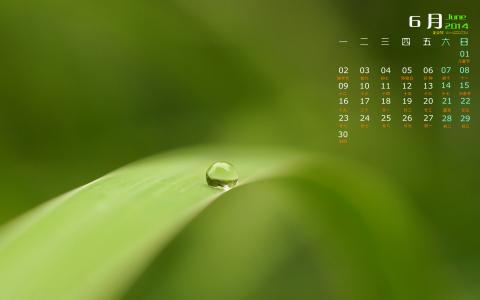 高清雨水水珠2022年6月份日历桌面壁纸护眼绿色水滴第2张