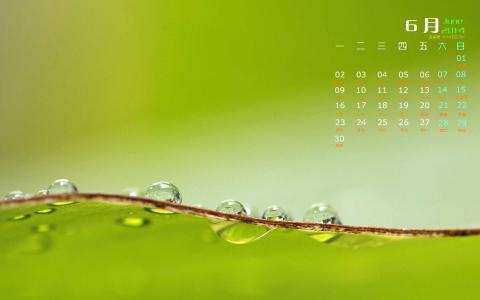 高清雨水水珠2022年6月份日历桌面壁纸护眼绿色水滴第5张