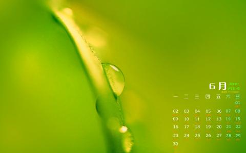 高清雨水水珠2022年6月份日历桌面壁纸护眼绿色水滴第6张