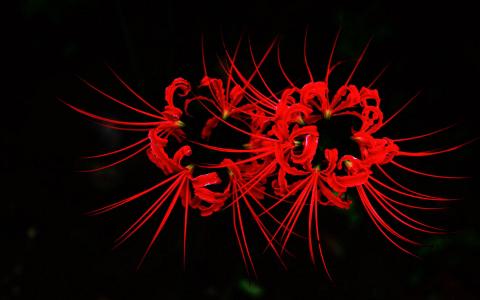 图片 _ 第(4)张