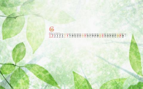 高清清新养眼的绿叶手机壁纸第1张