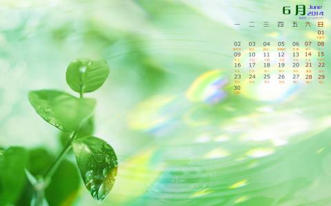 高清清新养眼的绿叶手机壁纸第4张