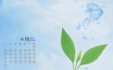 高清清新养眼的绿叶手机壁纸第6张