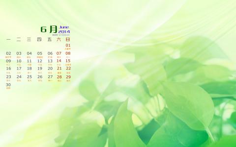 绿叶图片图片 _ 第(8)张