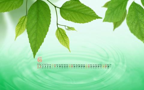 图片 _ 第(10)张