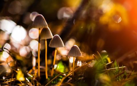 图片 _ 第(10)张