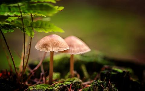 图片 _ 第(12)张