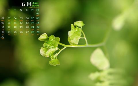 图片 _ 第(9)张