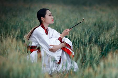 麦田图片 _ 第(5)张