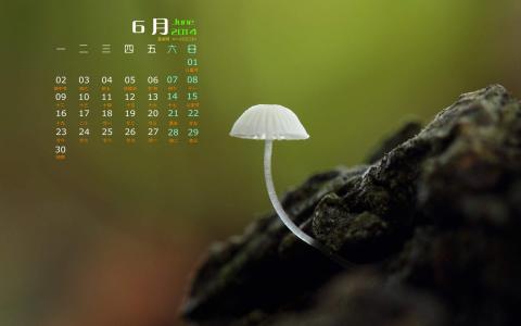 2014年10月日历壁纸唯美意境小清新初秋森林自然风光(三)第2张