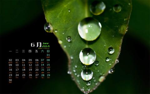 唯美秋季枫树叶图片高清电脑壁纸 第一辑第1张