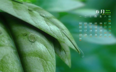 唯美秋季枫树叶图片高清电脑壁纸 第一辑第2张