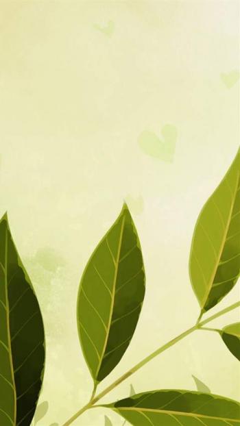 高清唯美护眼绿色植物图片安卓手机壁纸下载第0张