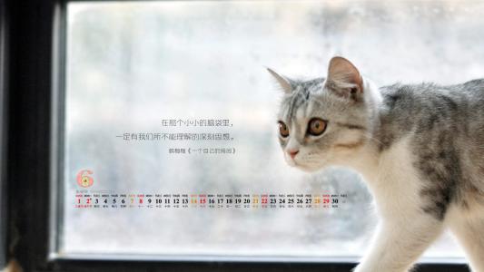 第1张