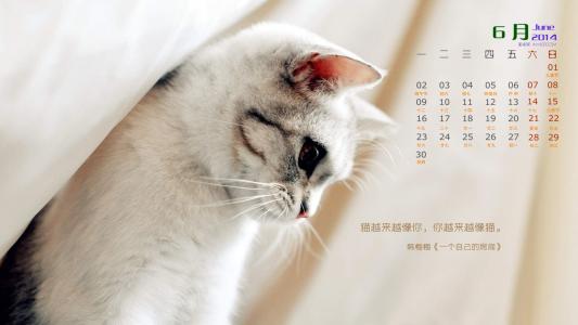 第2张