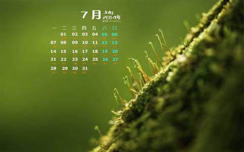 高清日历桌面护眼壁纸小清新自然绿色植物图片第2张