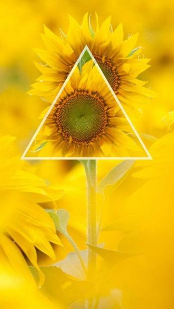创意唯美图片高清苹果手机壁纸下载第2张