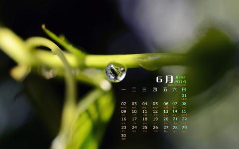 图片 _ 第(12)张