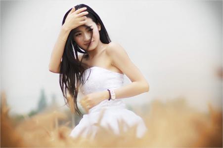 麦田第3张