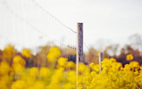 图片 _ 第(12)张
