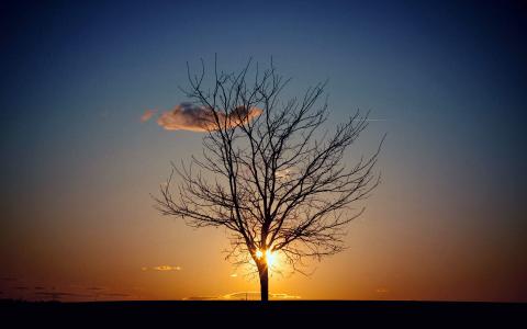 图片 _ 第(1)张