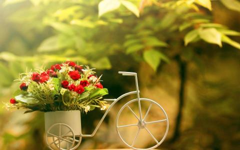 图片 _ 第(8)张