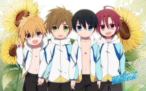 日本动漫Free!男子游泳部剧照桌面壁纸第一辑第3张