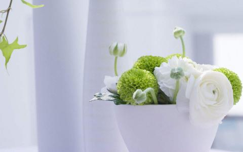 图片 _ 第(1)张