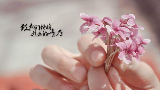 图片 _ 第(2)张