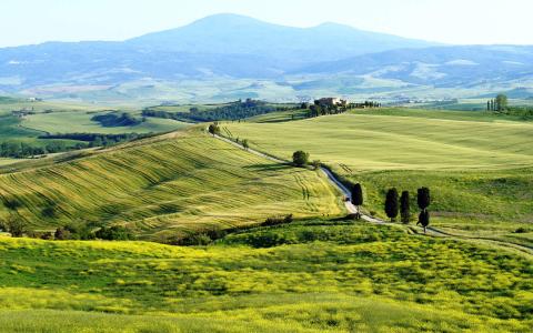 美丽的草原风景清新怡人电脑桌面壁纸图片第6张