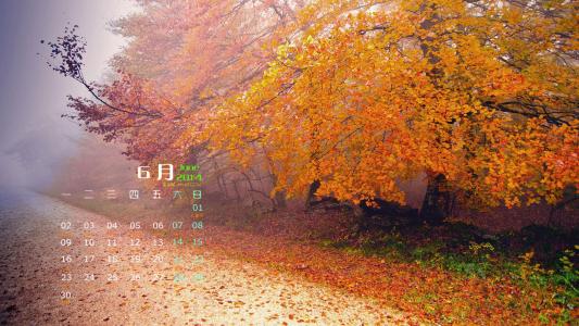树林图片 _ 第(1)张