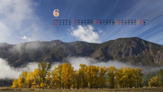 树林图片 _ 第(9)张