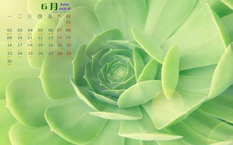 护眼壁纸图片 _ 第(5)张