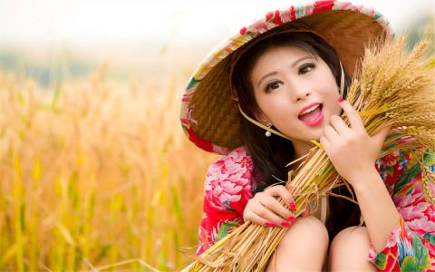 麦田第6张