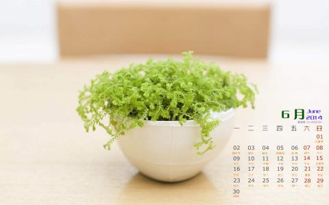 2016年8月日历盆栽风景桌面壁纸第一辑第0张