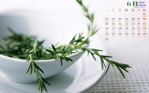 2016年8月日历盆栽风景桌面壁纸第一辑第1张