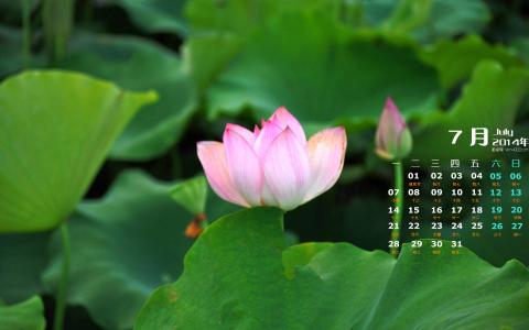 图片 _ 第(1)张 图片 _ 第(1)张