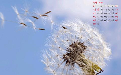 图片 _ 第(4)张