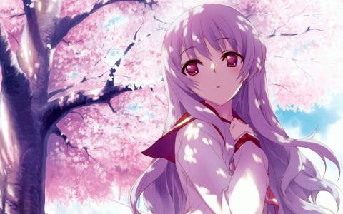 日本动漫东京猫猫美少女唯美浪漫桌面壁纸第4张