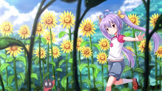 日本动漫东京猫猫美少女唯美浪漫桌面壁纸第5张