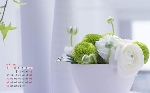 第0张