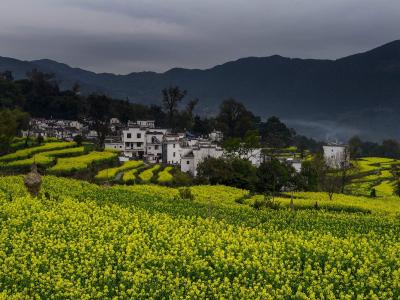 图片 _ 第(2)张