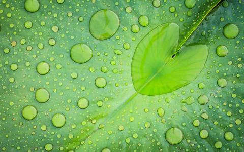 水滴图片 _ 第(4)张